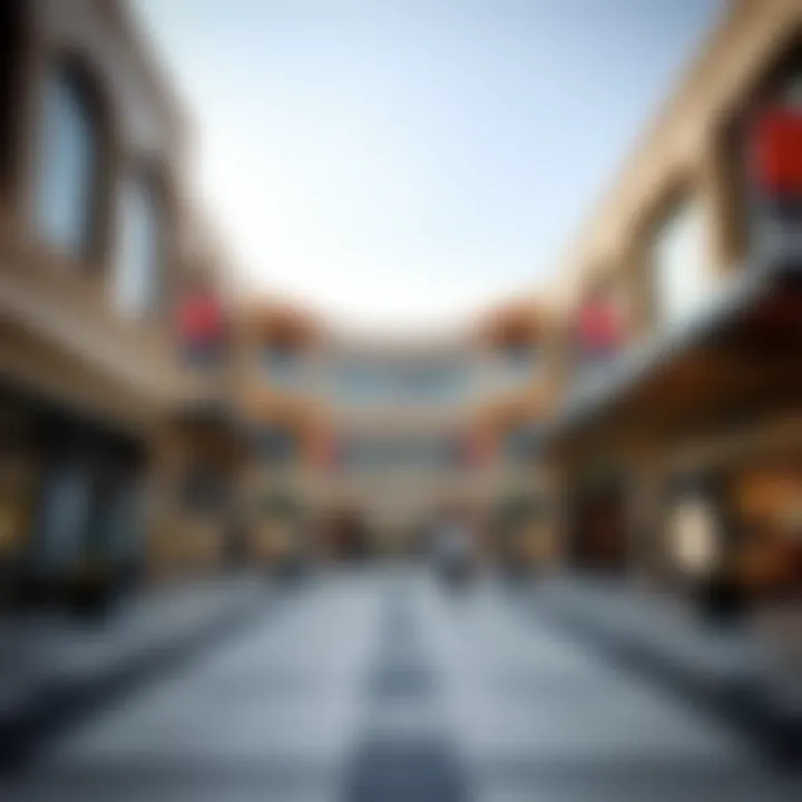 Exploring Malls in Bur Dubai: A Comprehensive Overview Summary