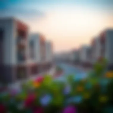 Charming Scenery of Al Warqa Community View of the Al Warqa neighborhood