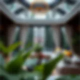 Rooms in Discovery Gardens: A Comprehensive Guide Introduction