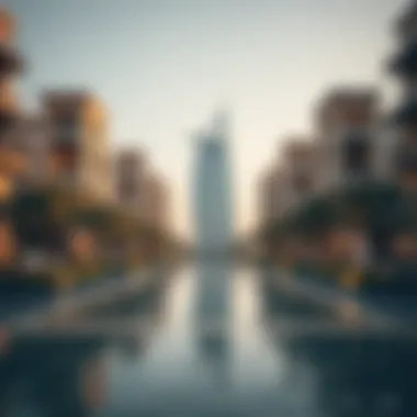 Understanding the Vacuum of Palm Jebel Ali Summary